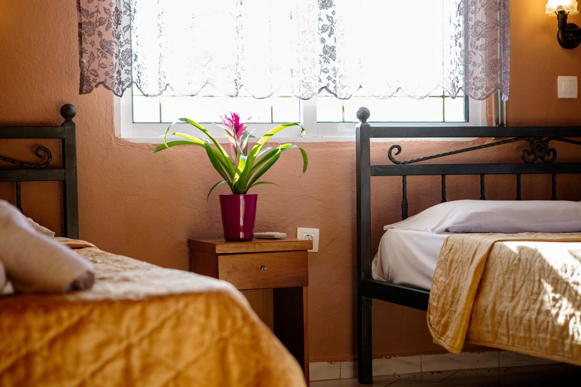 Vrasná Xenia Palace Luxury Apartments المظهر الخارجي الصورة